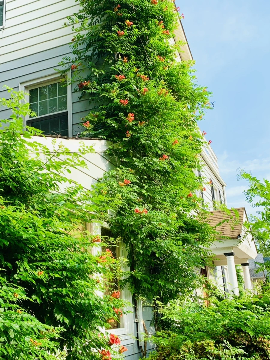 IMG_5718.jpg?type=w966