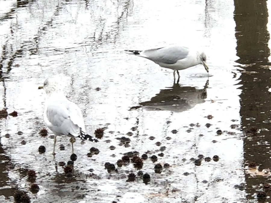 5wFX8UQhRd1iTpFyQ22msVhsd1w