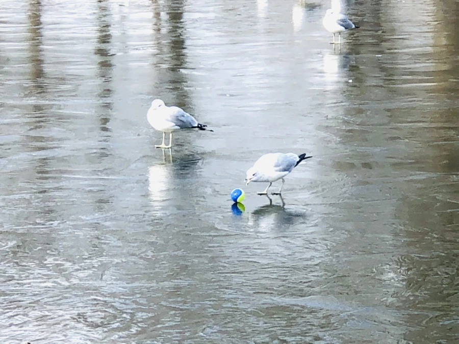 IMG_4680.jpg?type=w966