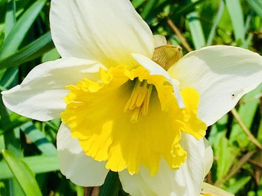 IMG_4291.jpg?type=w966