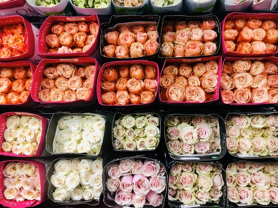 IMG_3146.jpg?type=w966