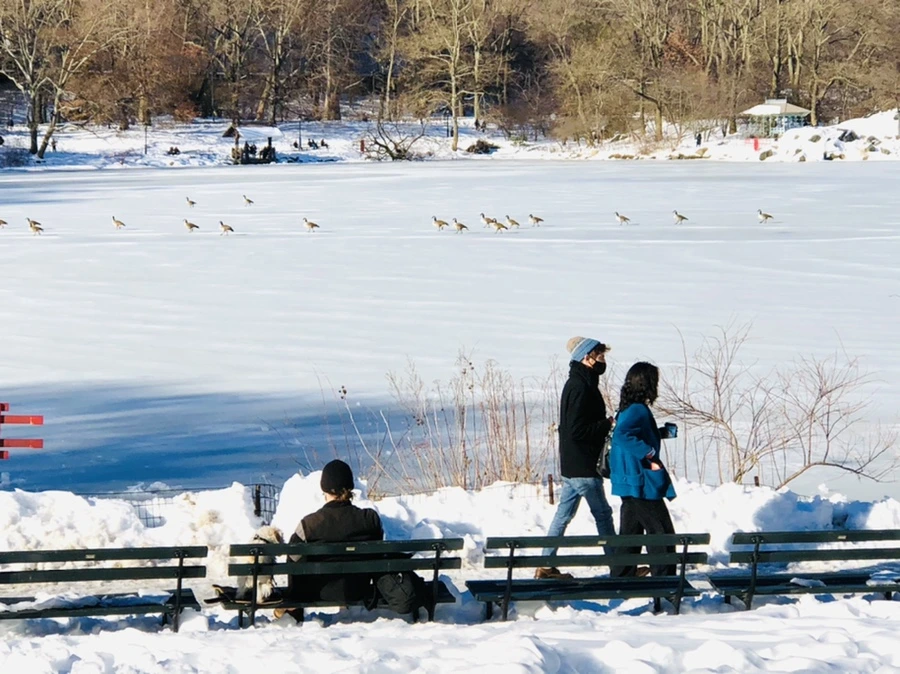 IMG_9830.jpg?type=w966