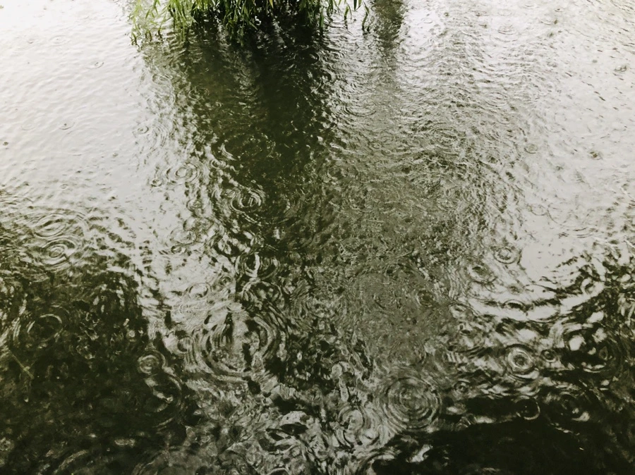 IMG_5093.jpg?type=w966