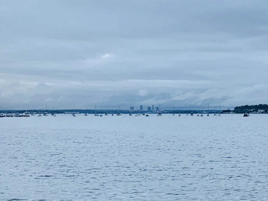 IMG_7767.jpg?type=w966