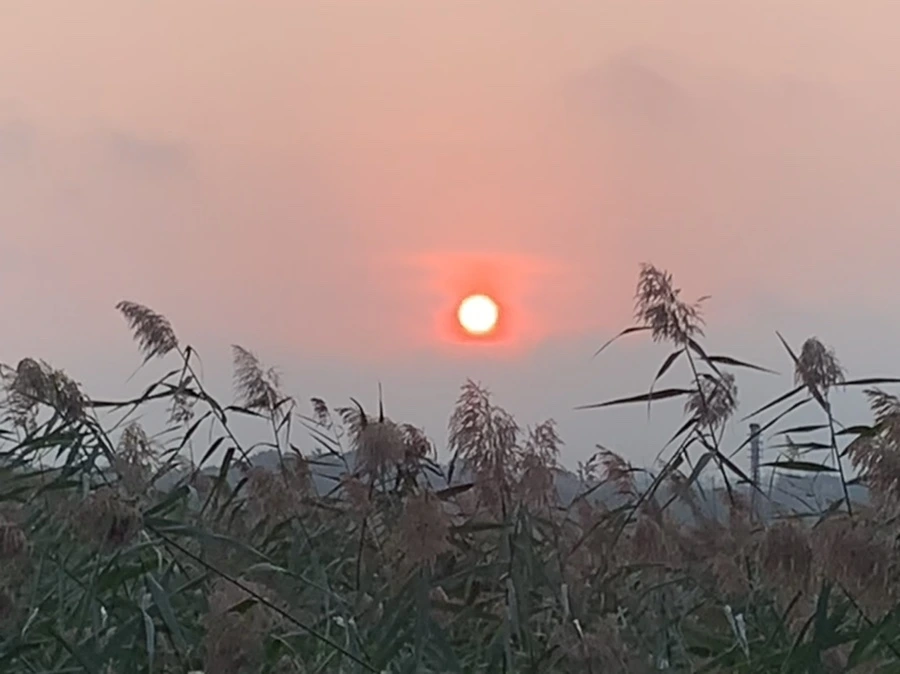 IMG_1105.jpg?type=w966