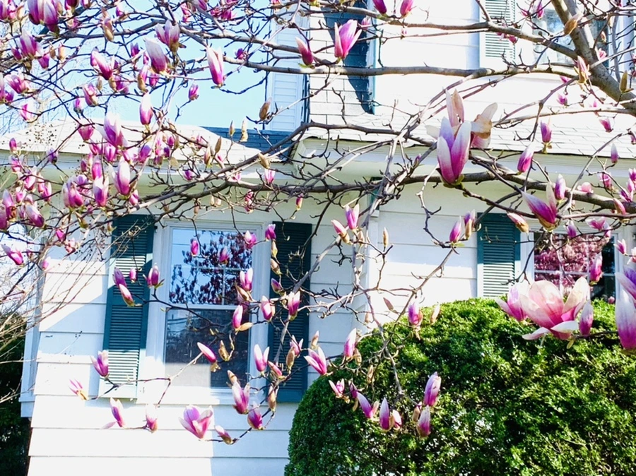 IMG_7518.jpg?type=w966