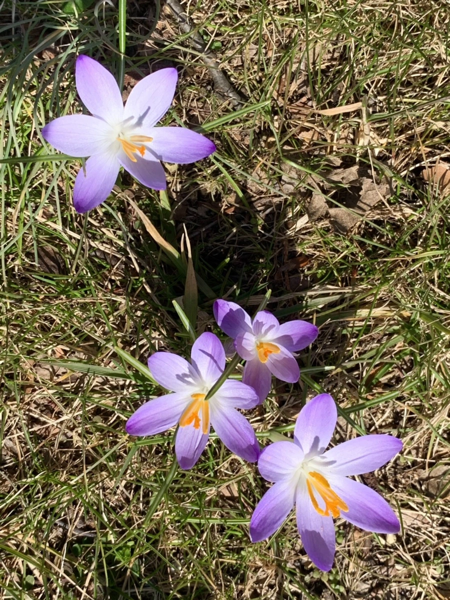 IMG_9194.jpg?type=w966