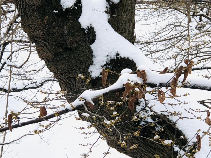 IMG_9568.jpg?type=w966