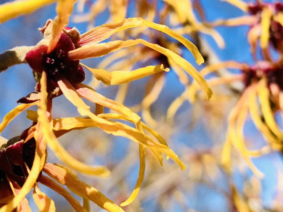 IMG_0740.jpg?type=w966