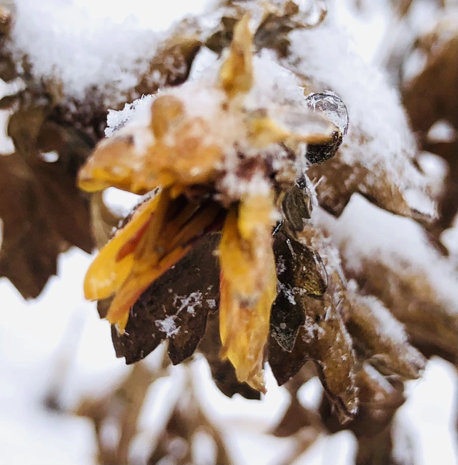 IMG_3443.jpg?type=w966