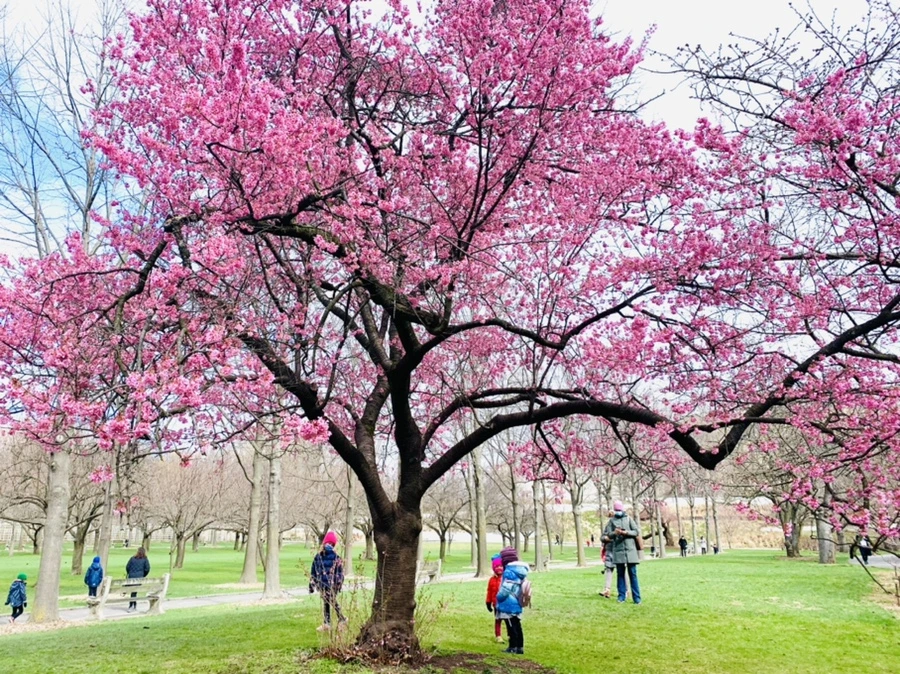 IMG_6418.jpg?type=w966