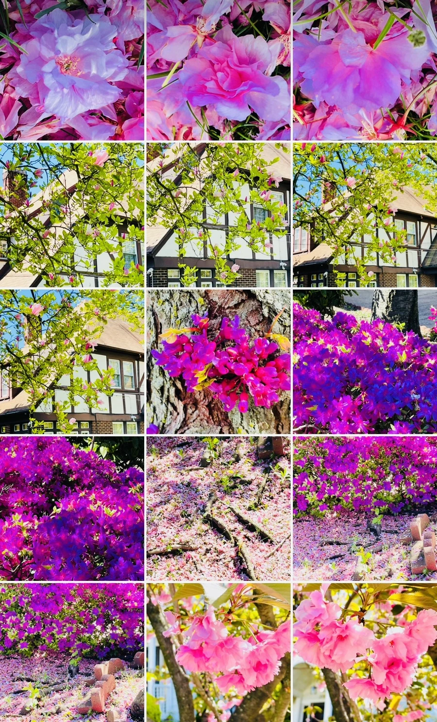 IMG_6198.jpg?type=w966