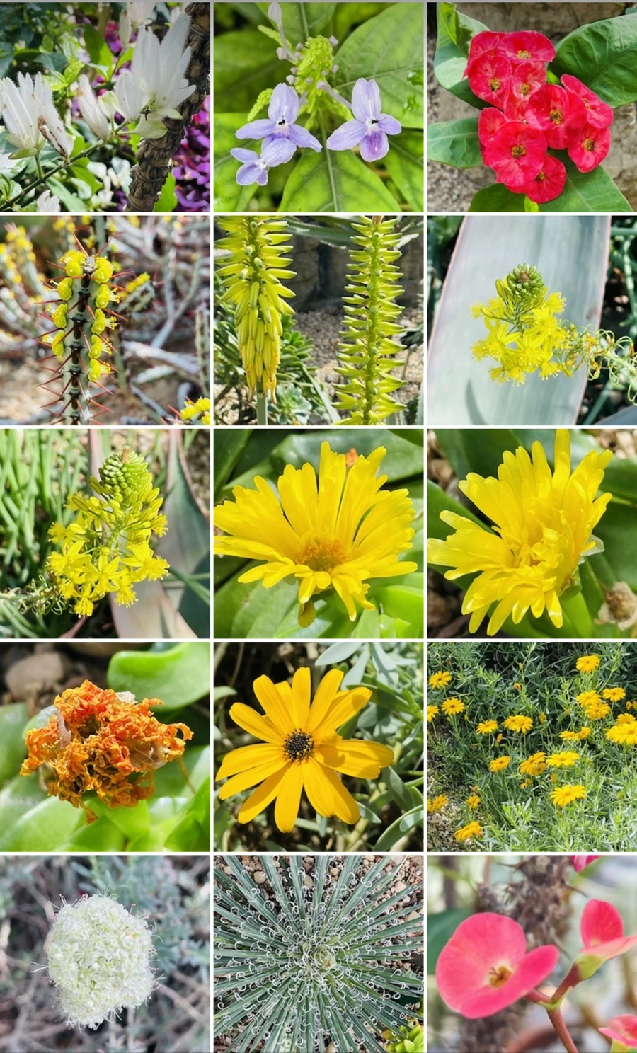 IMG_5417.jpg?type=w966