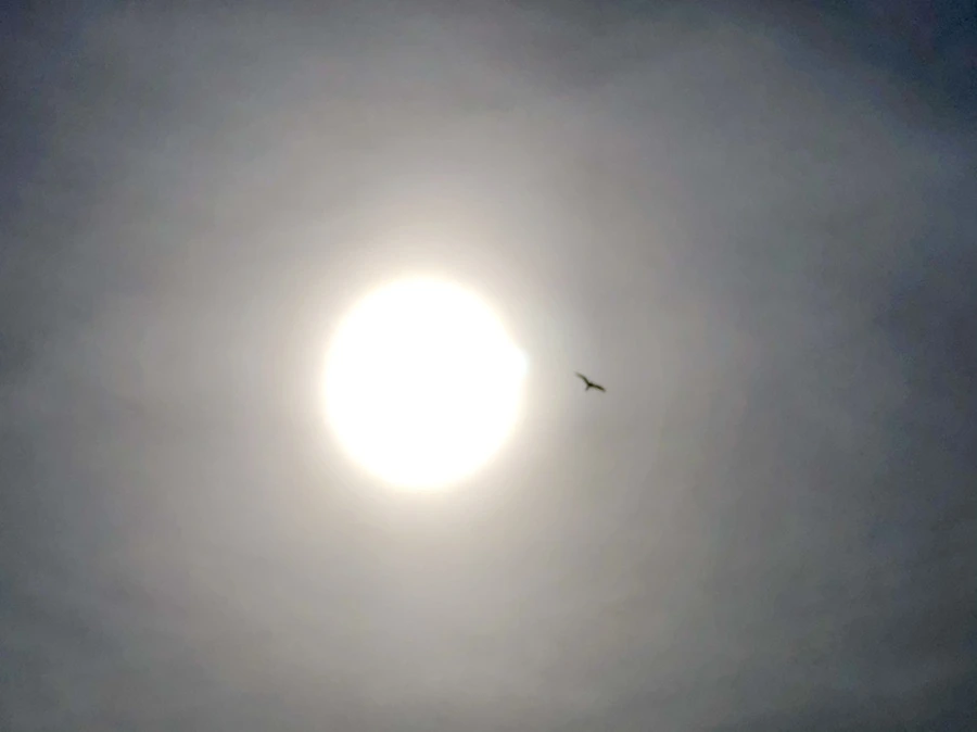 IMG_3167.jpg?type=w966