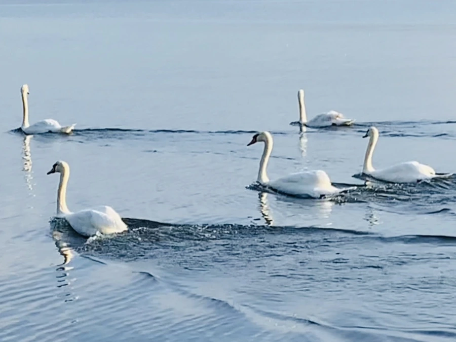 IMG_1489.jpg?type=w966