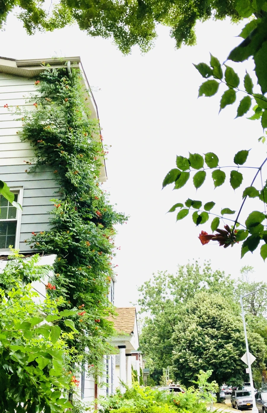 IMG_2186.jpg?type=w966