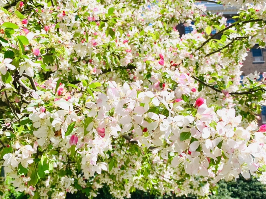 IMG_5749.jpg?type=w966