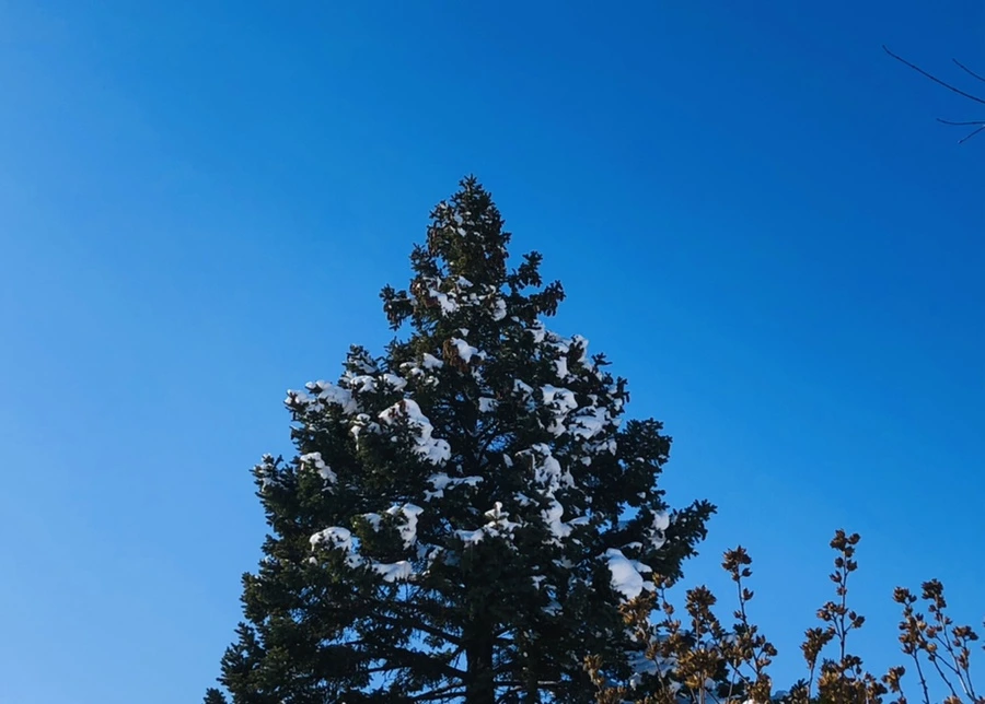 IMG_1402.jpg?type=w966