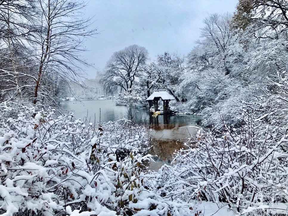 IMG_2083.jpg?type=w966