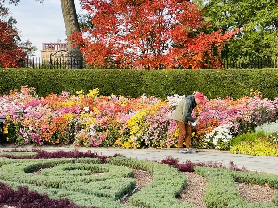 IMG_1203.jpg?type=w966