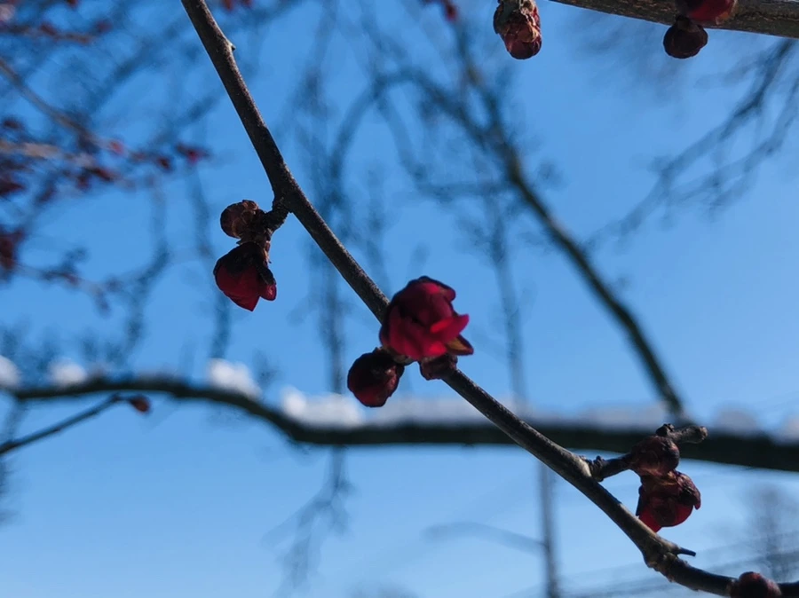 IMG_1363.jpg?type=w966