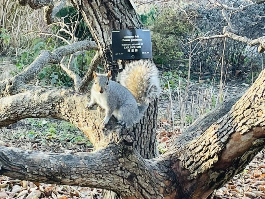 IMG_6029.jpg?type=w966