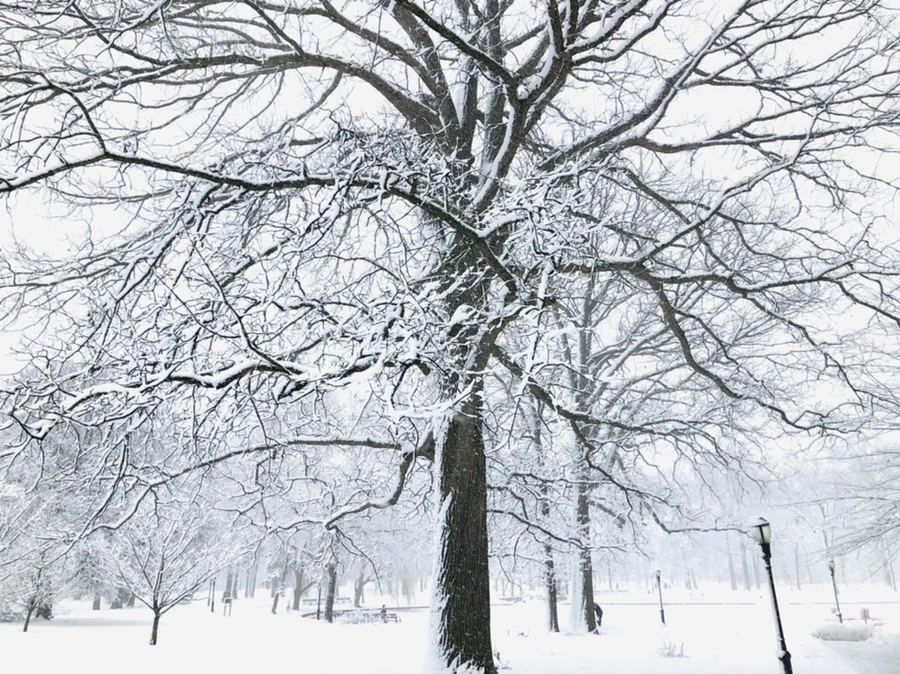 IMG_1070.jpg?type=w966