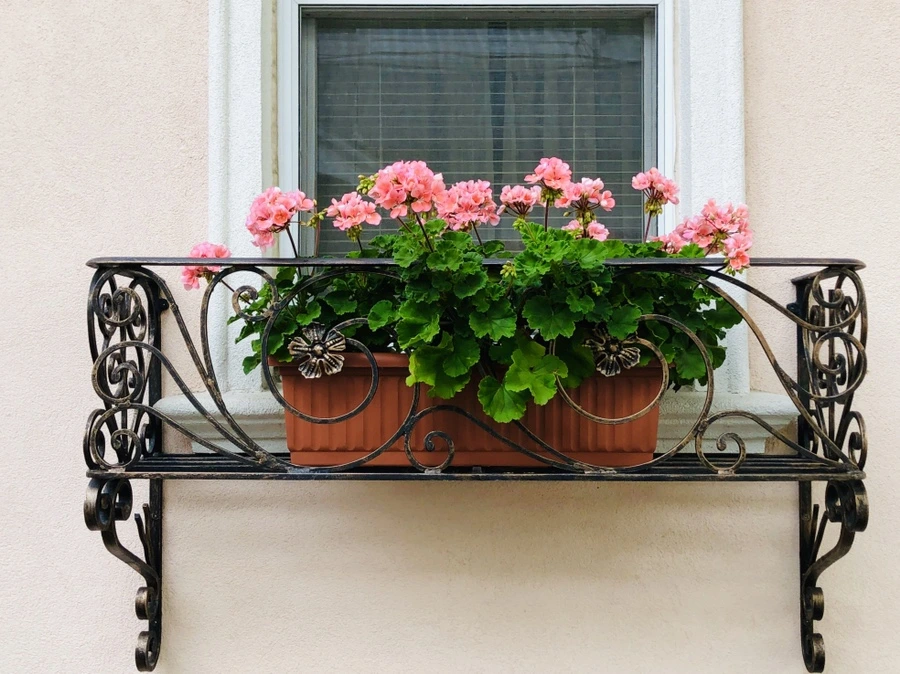 IMG_3066.jpg?type=w966