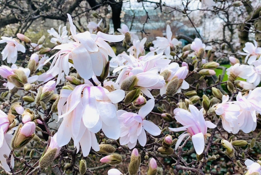 IMG_6514.jpg?type=w966