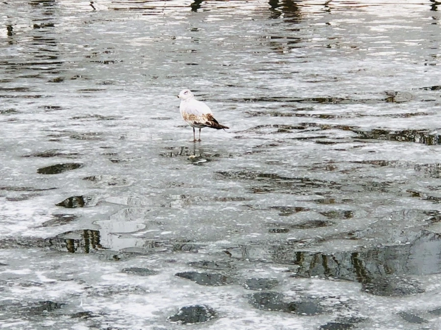 IMG_6405.jpg?type=w966