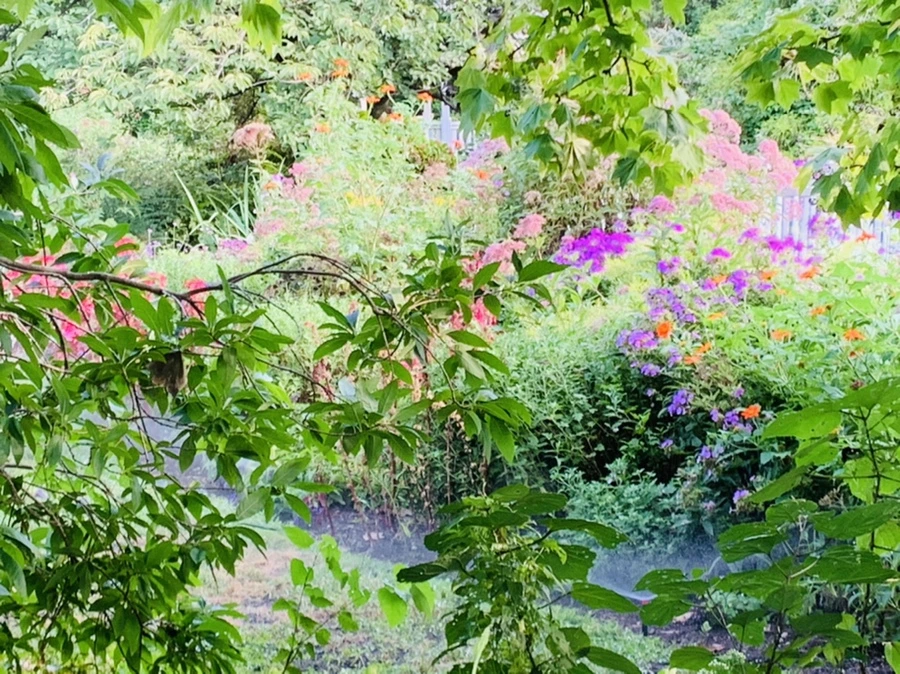 IMG_1242.jpg?type=w966