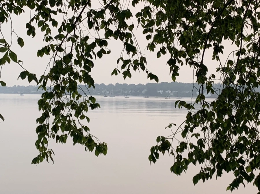 IMG_8201.jpg?type=w966