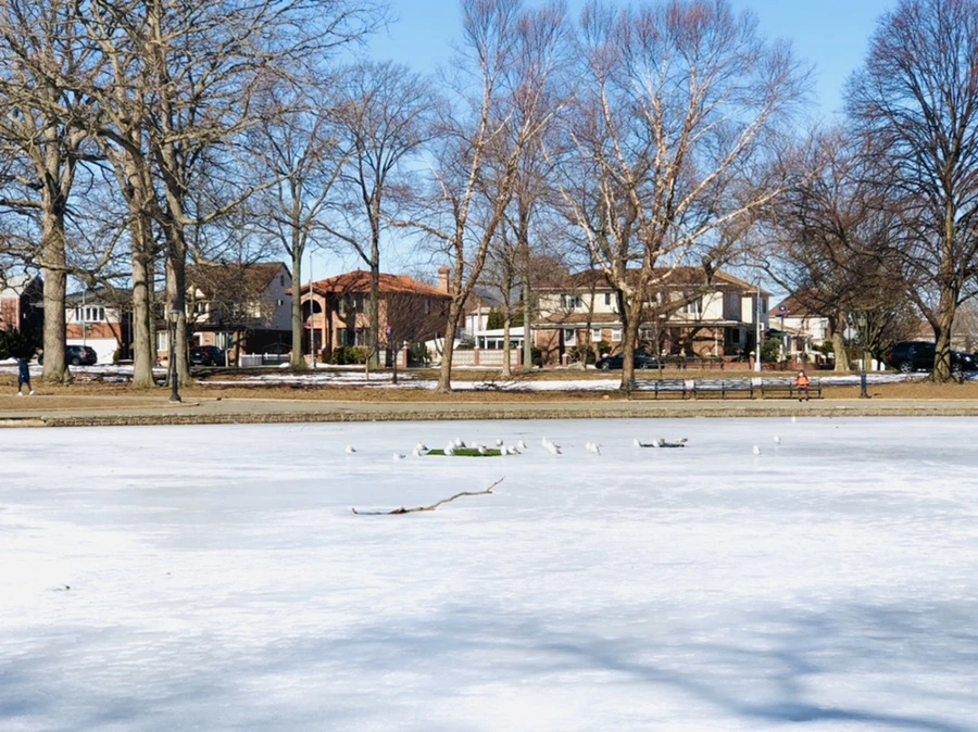 IMG_4628.jpg?type=w966