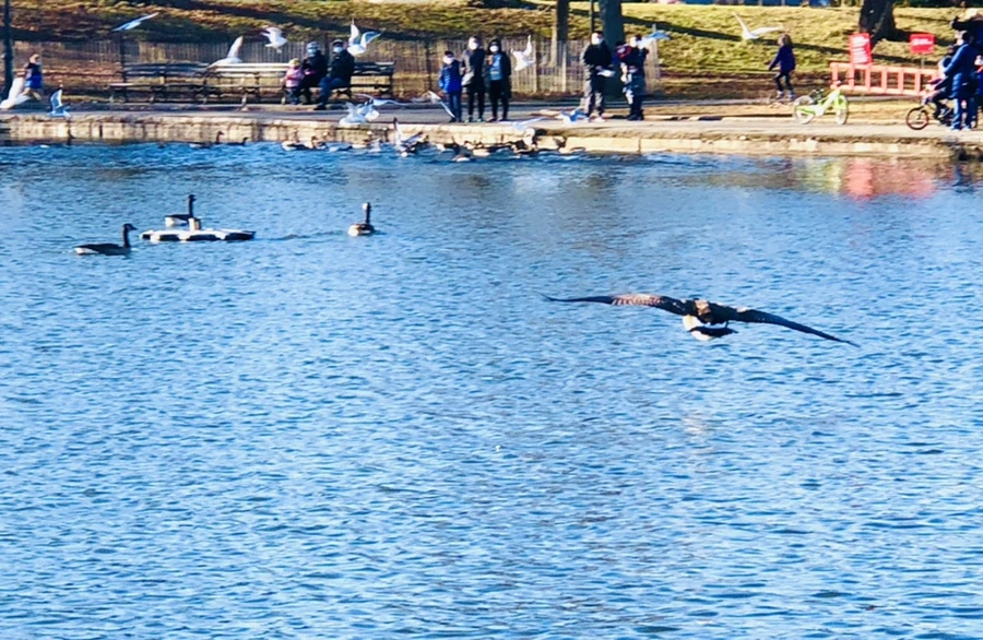 IMG_9252.jpg?type=w966