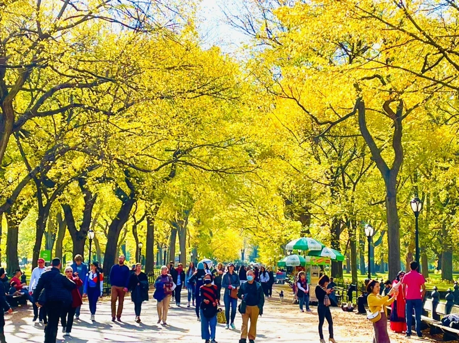 IMG_1588.jpg?type=w966