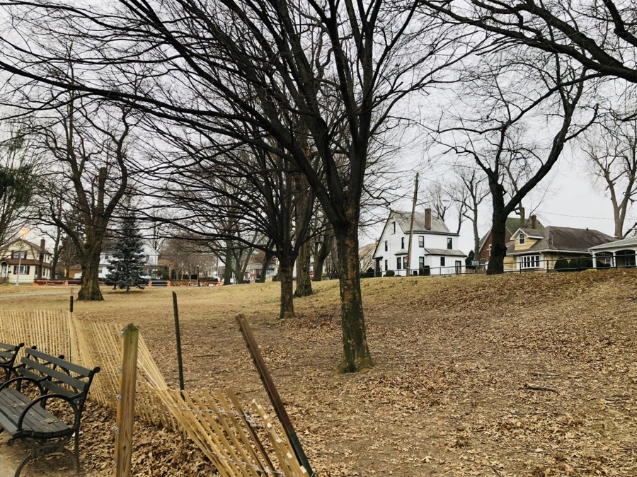 IMG_9065.jpg?type=w966