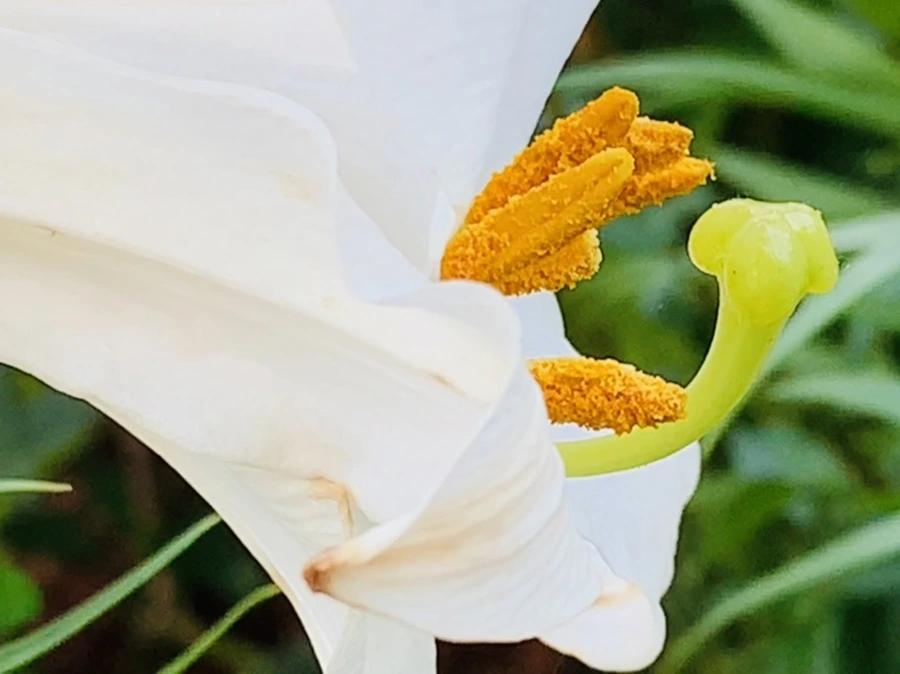 IMG_5651.jpg?type=w966