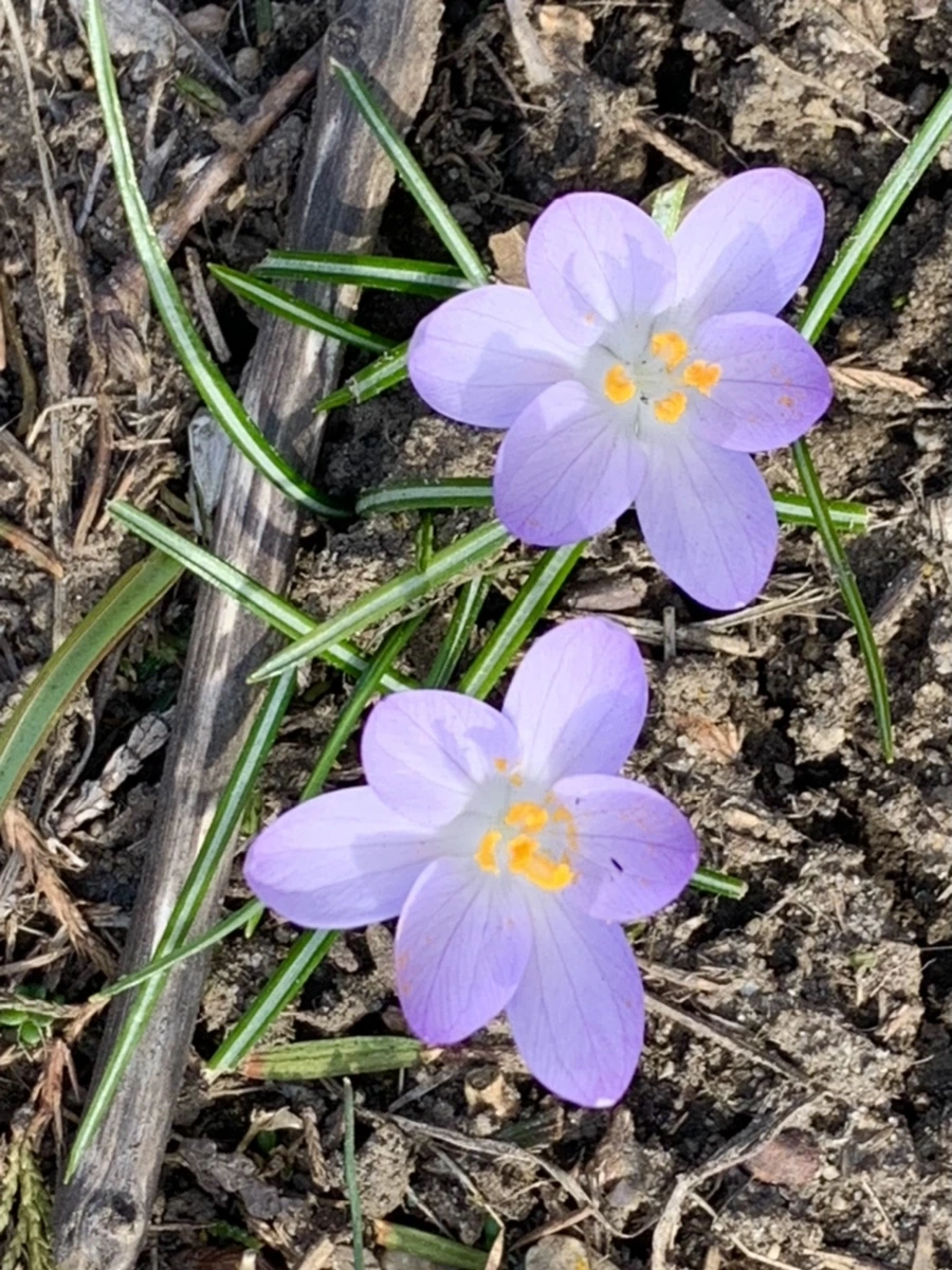 IMG_0277.jpg?type=w966