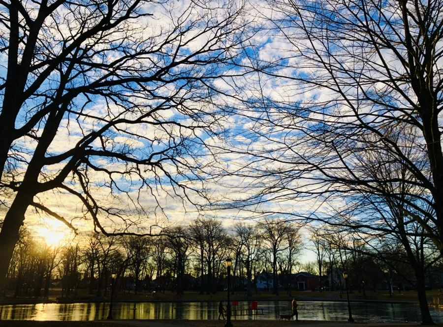 IMG_4884.jpg?type=w966