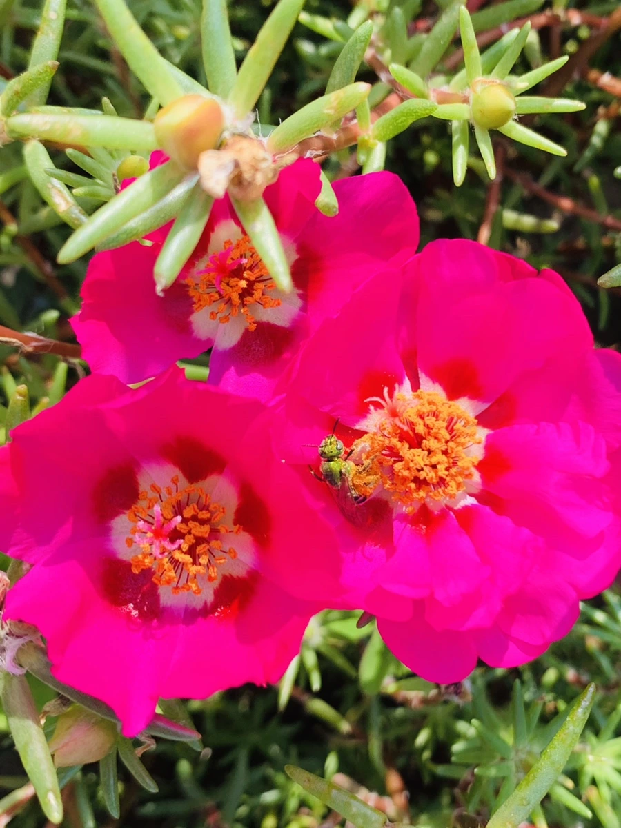 IMG_6636.jpg?type=w966