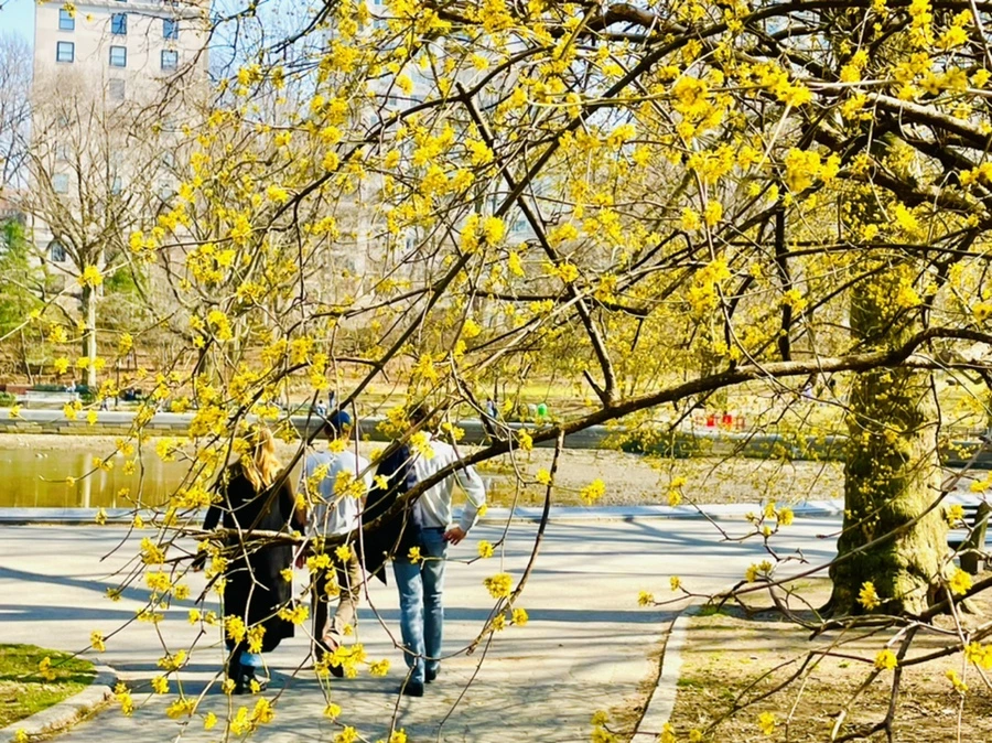 IMG_5568.jpg?type=w966