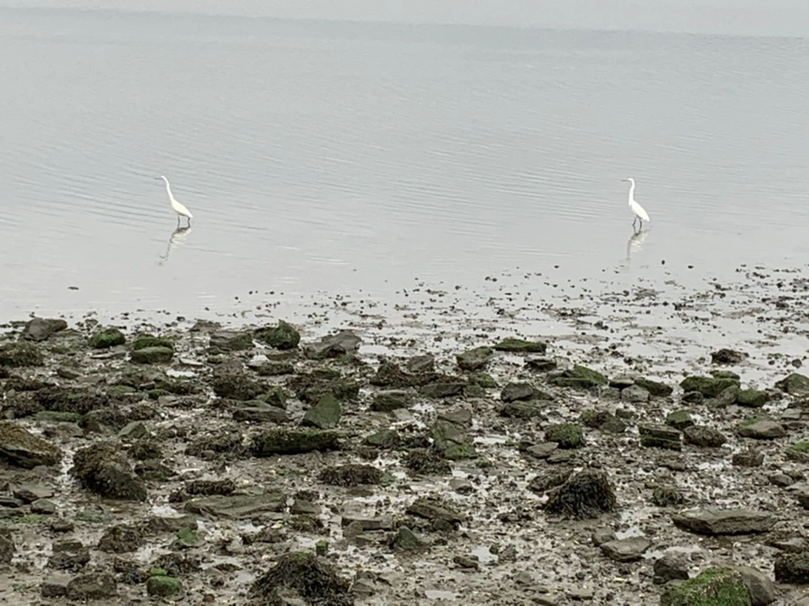 IMG_3694.jpg?type=w966