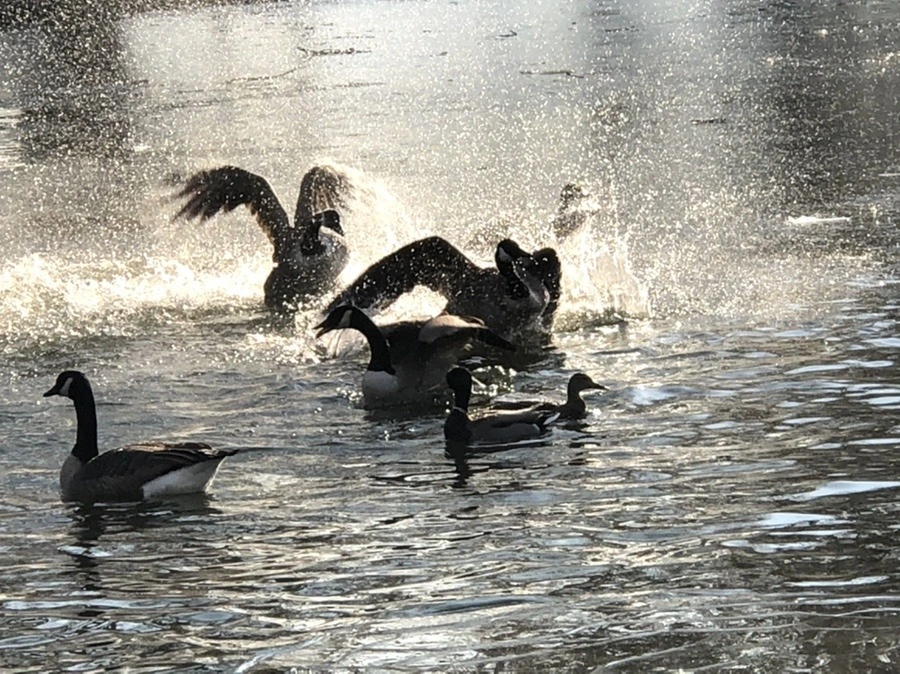 VCEfV-LJfXefLVBdpcmftlN0idA