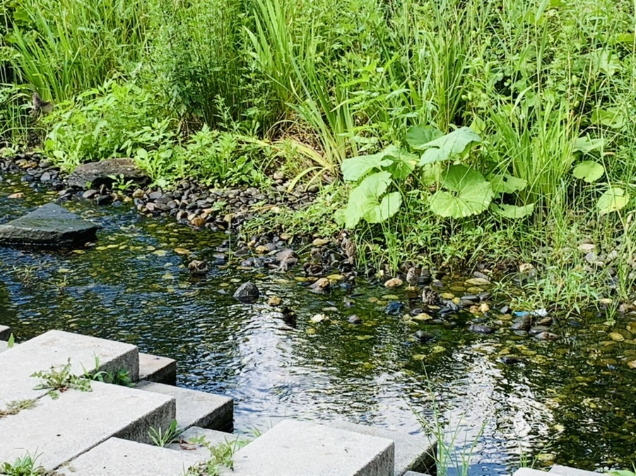 IMG_0653.jpg?type=w966