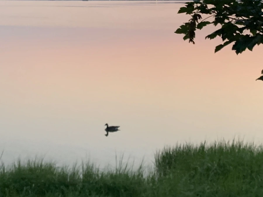 IMG_1846.jpg?type=w966