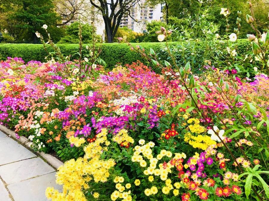 IMG_2496.jpg?type=w966