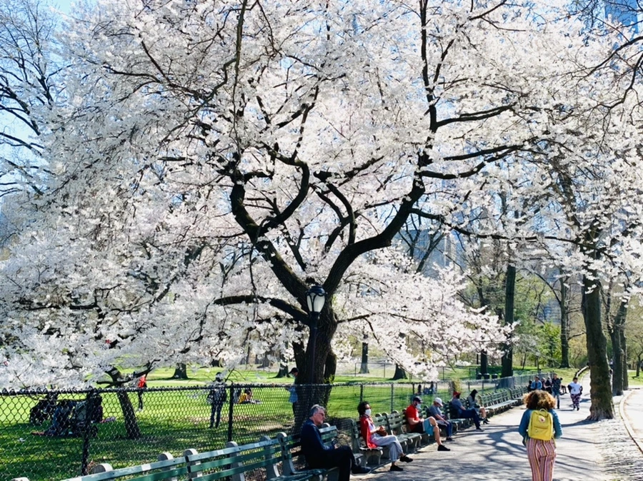 IMG_9019.jpg?type=w966