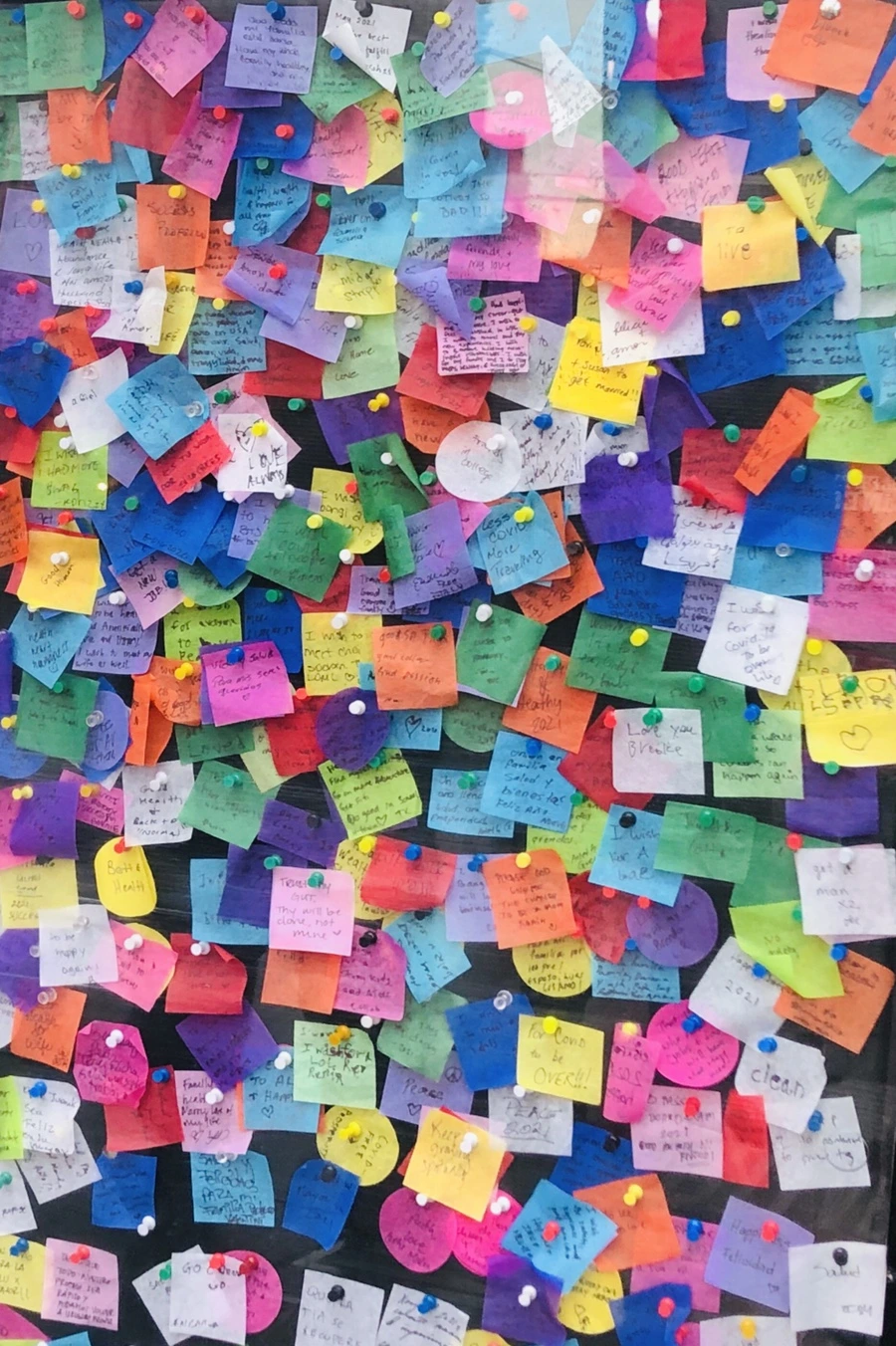 IMG_7629.jpg?type=w966