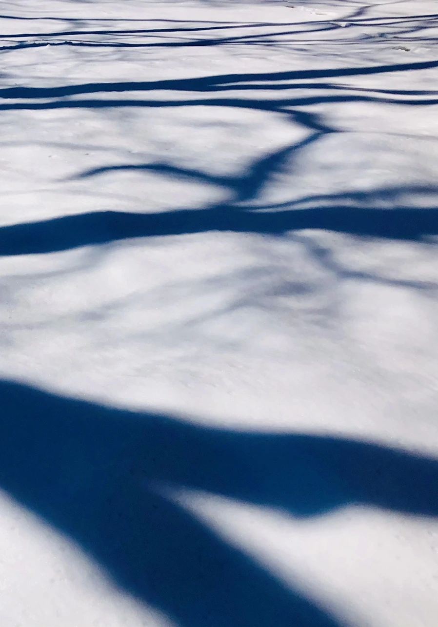 IMG_4013.jpg?type=w966