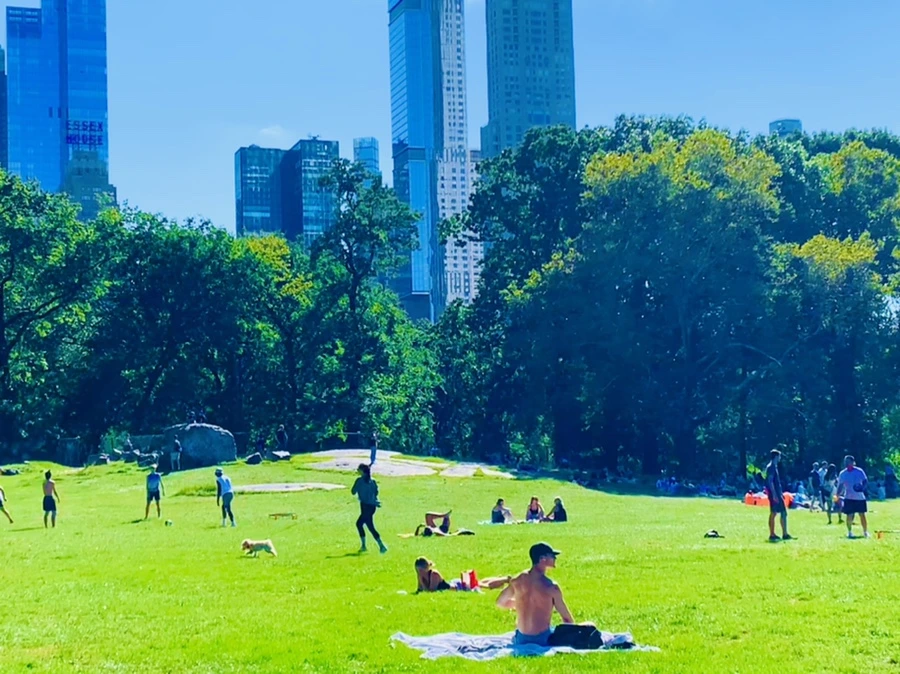 IMG_7622.jpg?type=w966